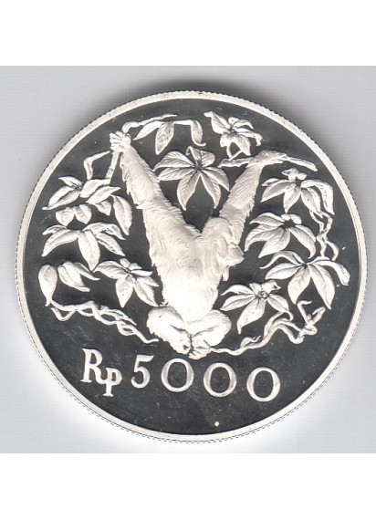 Indonesia. 1974 5000 Rupiah. Argento  925/..  Orangutango Fondo Specchio  Gr. 35