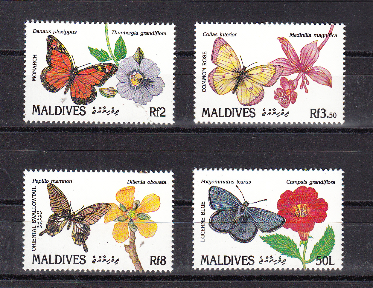 MALDIVE 1994 Farfalle 4 val.