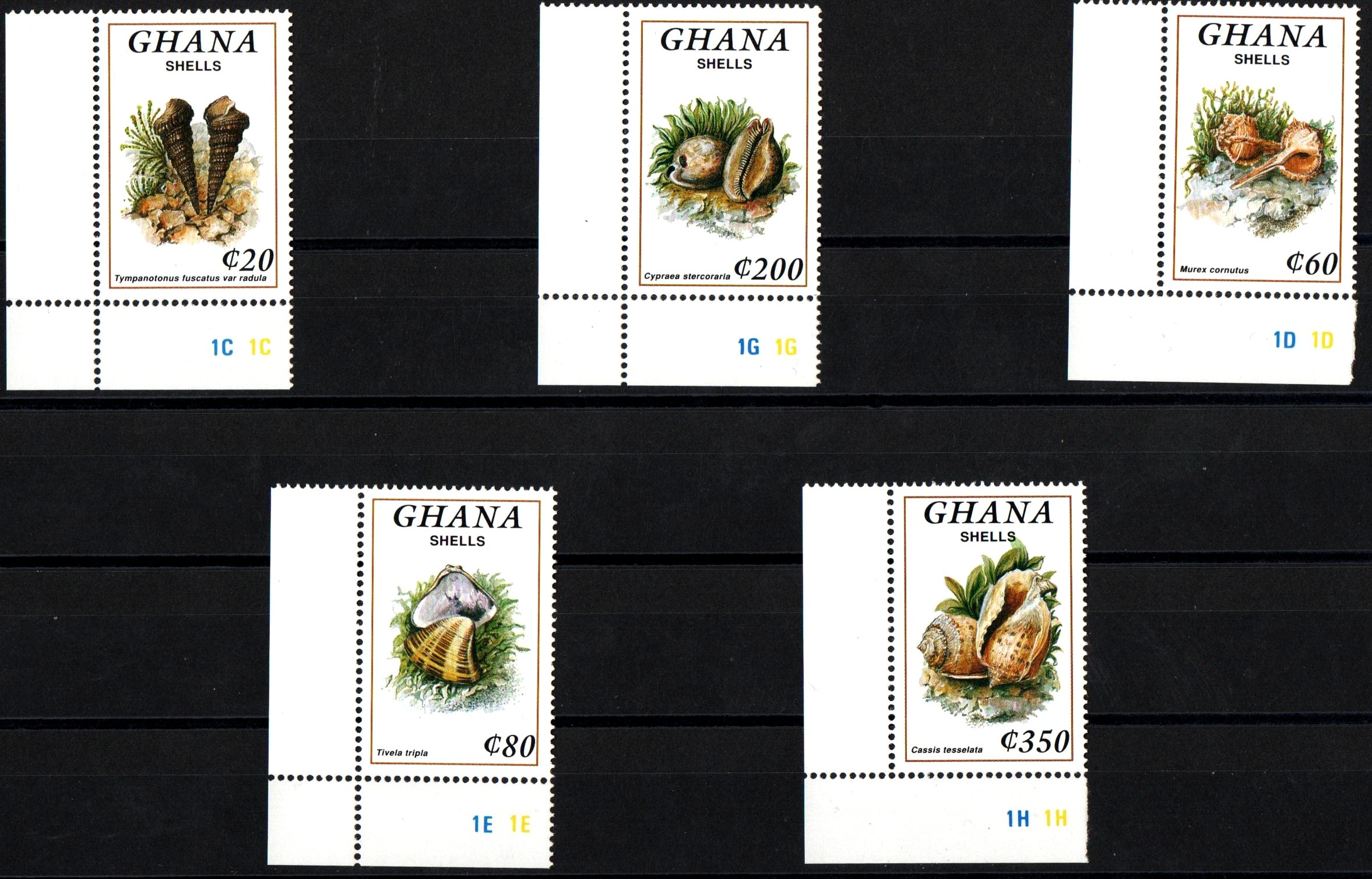 GHANA  francobolli serie completa nuova Yvert e Tellier 1410/4