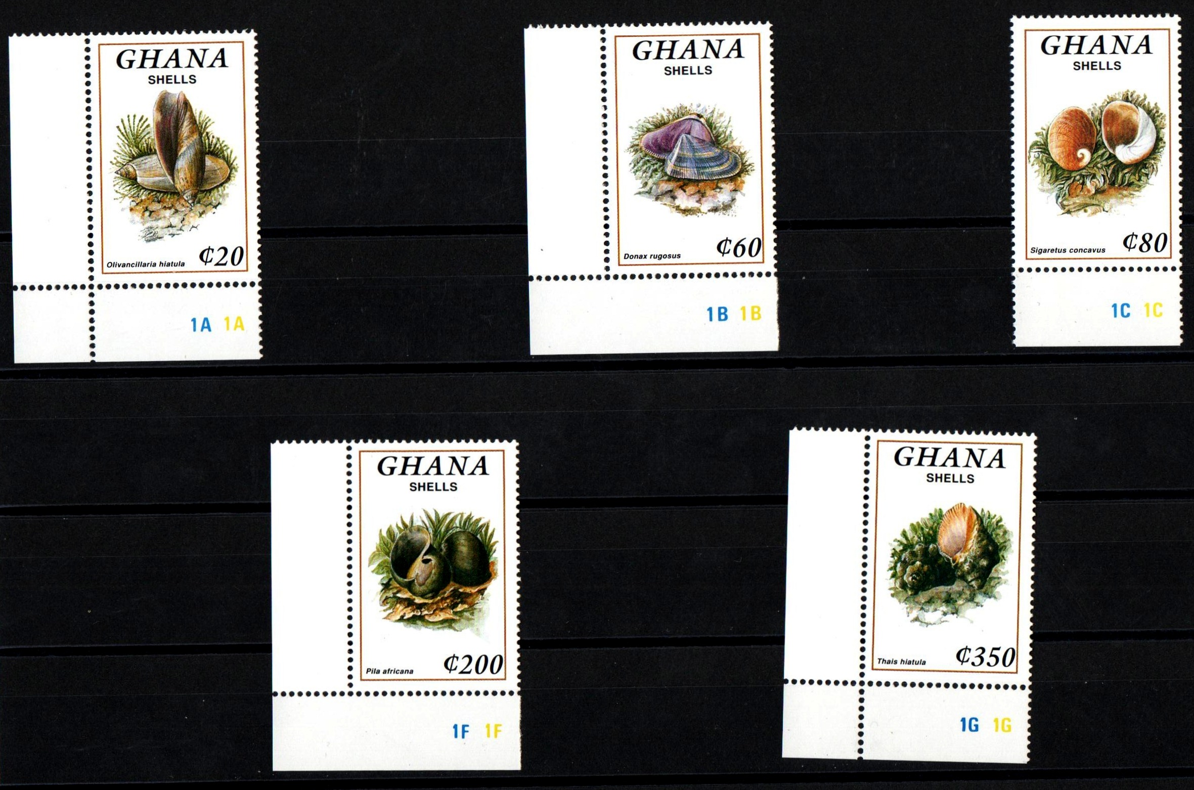 GHANA  francobolli serie completa nuova Yvert e Tellier 1397/401