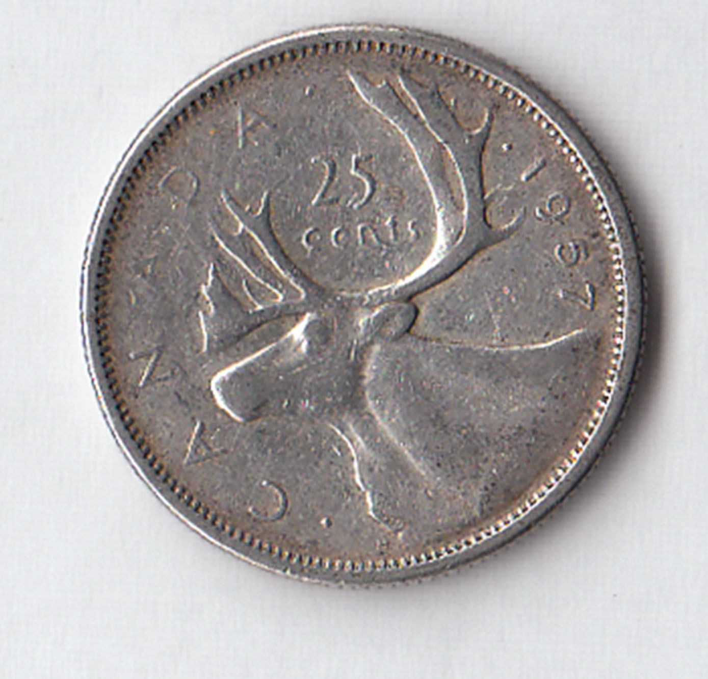 1957 - CANADA Quarto di Dollaro Renna in argento circolato