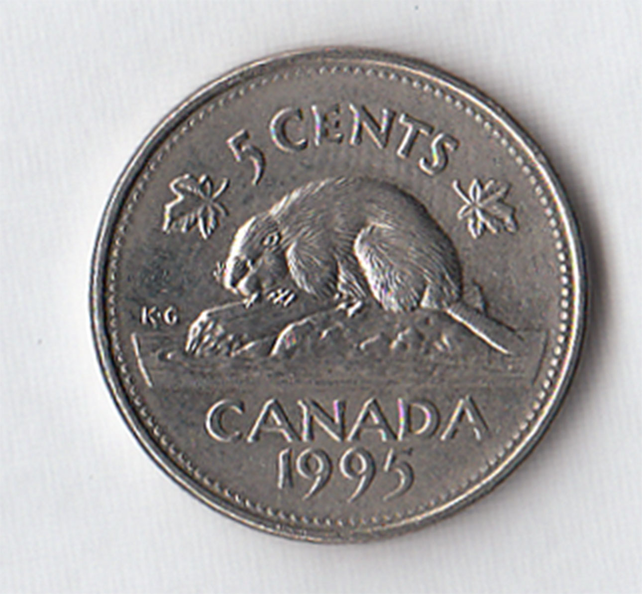 1995 - CANADA 5 cents Nickel Castoro Circolato in buona condizione