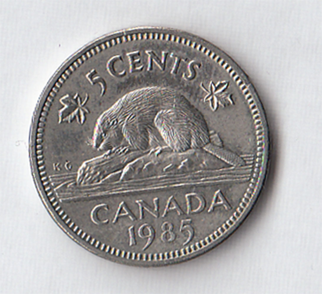 1985 - CANADA 5 cents Nickel Castoro Circolato in buona condizione