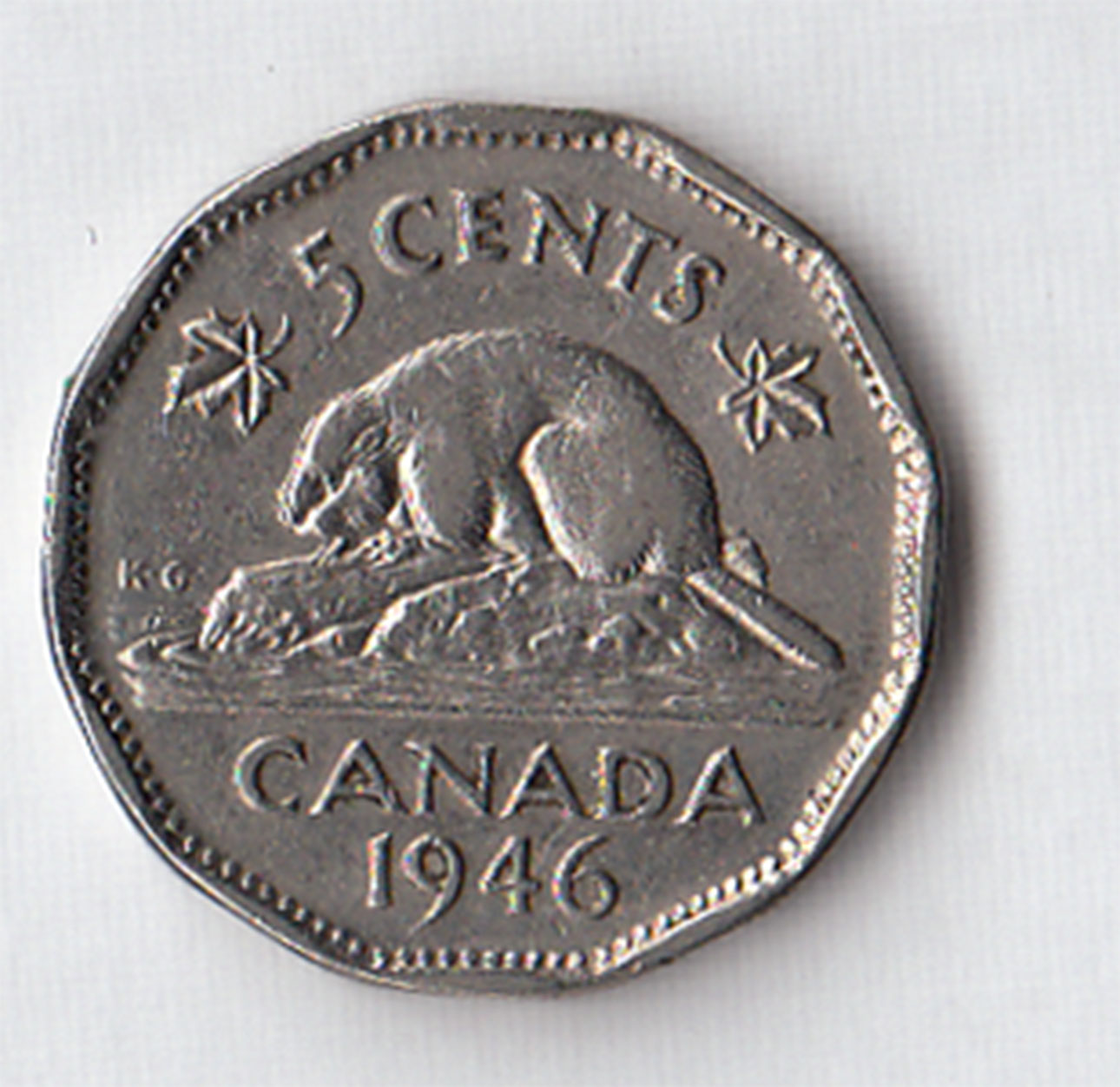 1946 - CANADA 5 Cents Nickel Castoro circolato