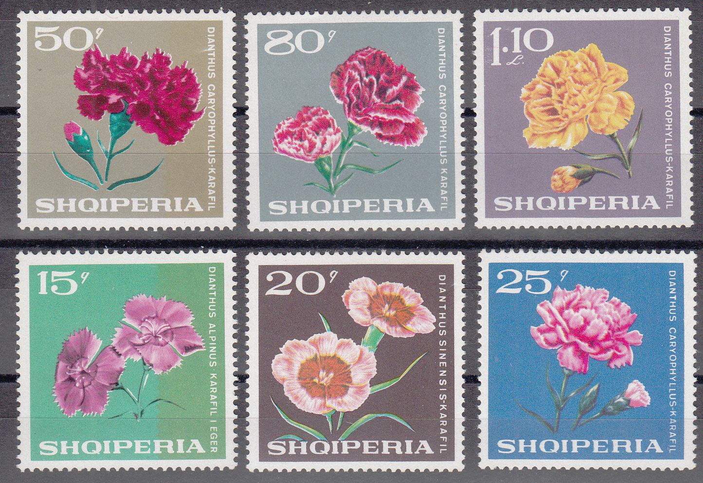 Albania 1968 FIORI Garofani 6 val.