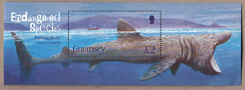 GUERNSEY 2006  Fgl. animali in pericolo Estinzione - Basking Shark