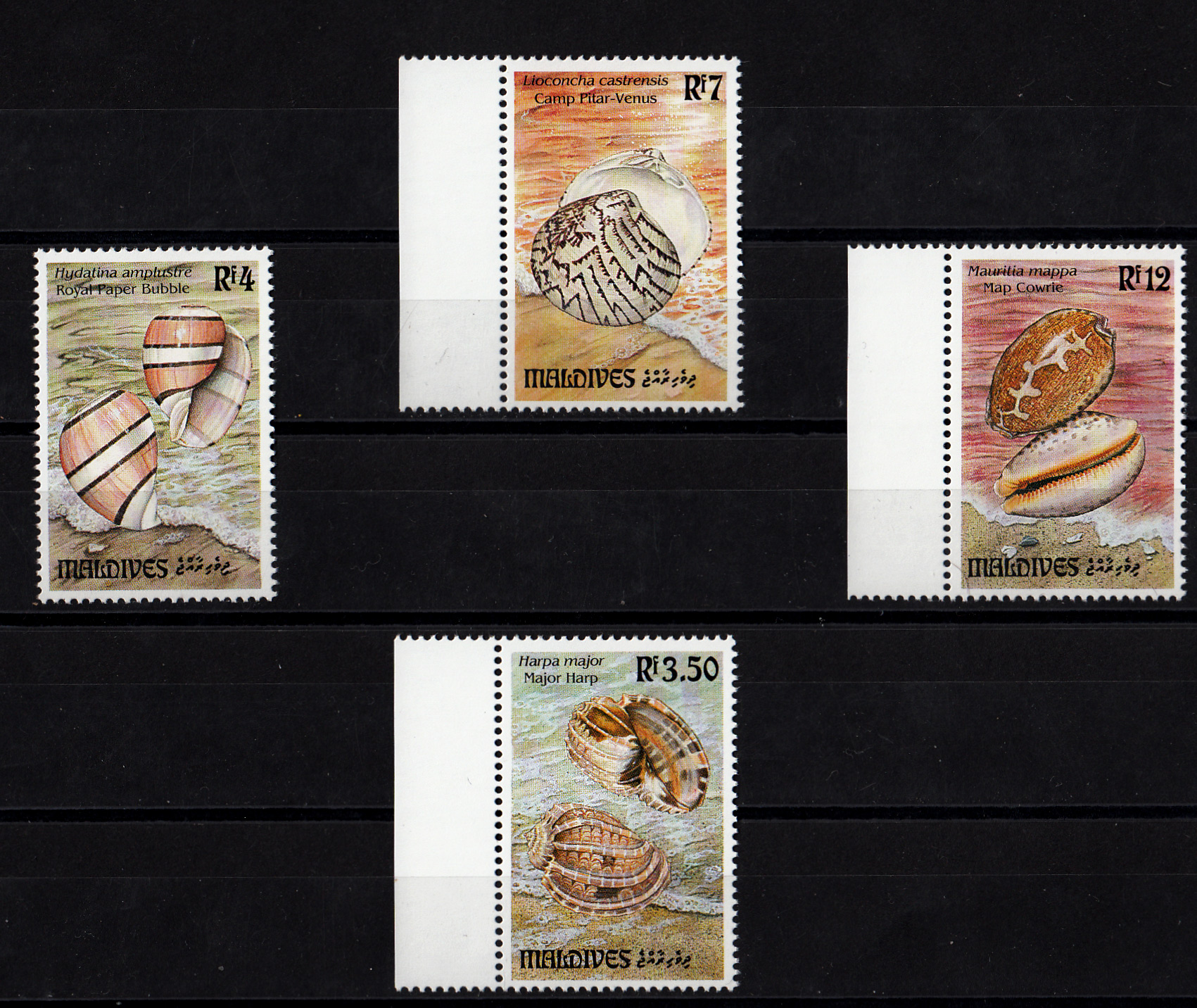 MALDIVE francobolli serie completa nuova Yvert e Tellier 1692/5 MNH**