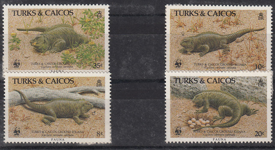 TURKS & CAICOS 1986 serie nuova Yvert e Tellier 758-61 Iguana