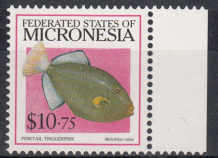 MICRONESIA 1998 francobolli tematica Fauna Yvert e Tellier serie completa 564 Pesce