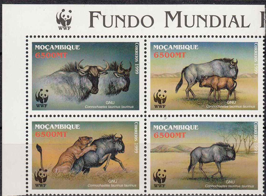 MOZAMBICO 2000 francobolli fauna serie nuova Yvert e Tellier 1402-5 WWF