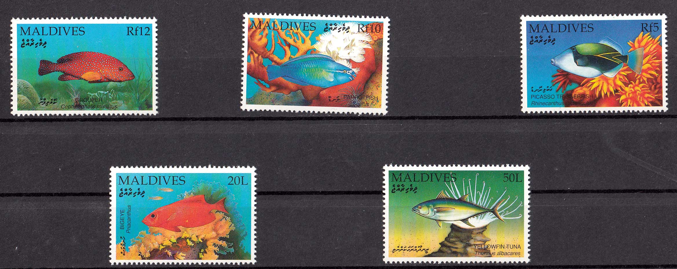 MALDIVE 1992  francobolli serie completa nuova Pesci Tropicali Yvert e Tellier 1437/41