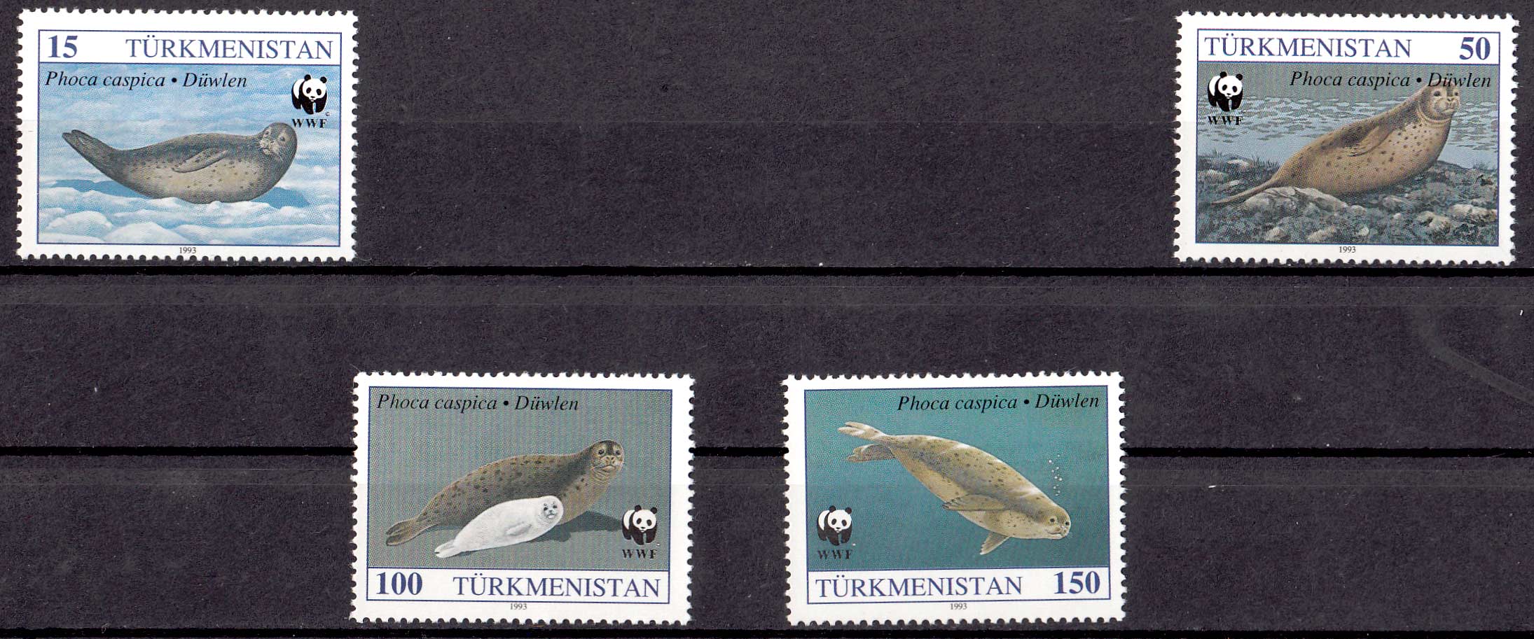 TURKMENISTAN 1993  francobolli serie completa nuova Unificato 40/3