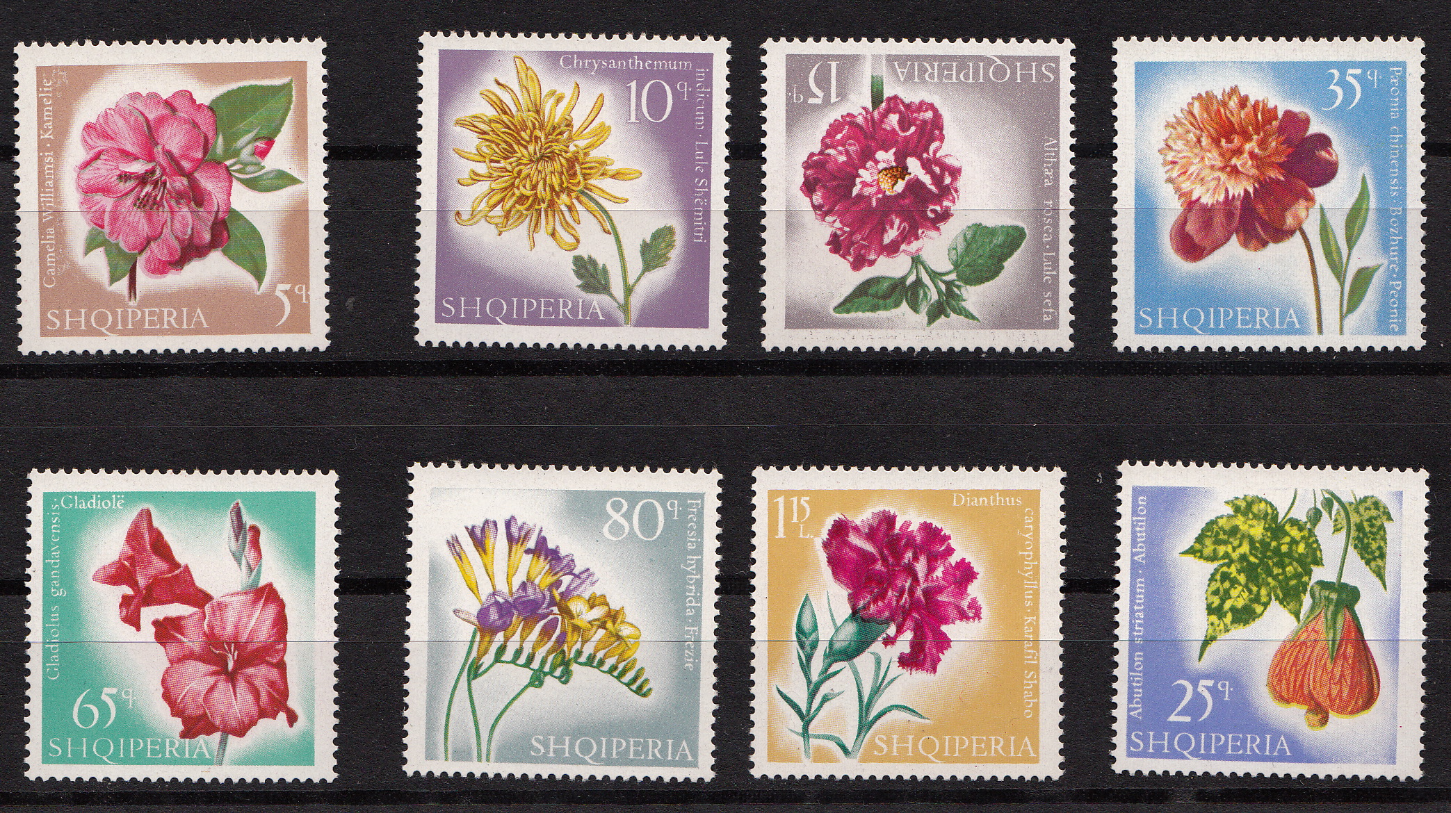 ALBANIA 1967 francobolli serie completa nuova Yvert e Tellier 967/74