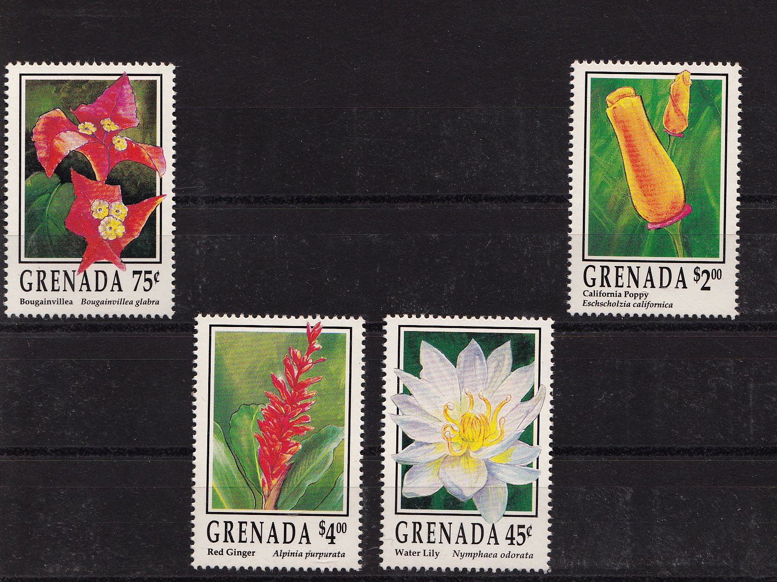 GRENADA 1993 francobolli serie completa nuova Yvert e Tellier 2276/9