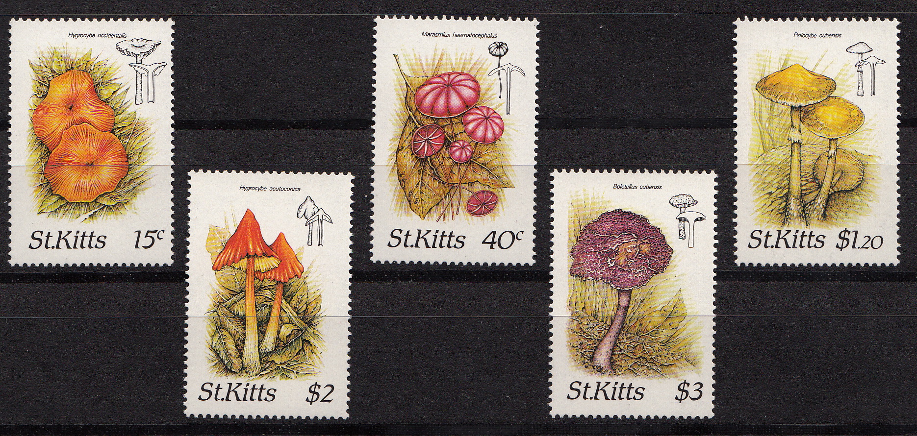 ST KITTS 1987 francobolli serie completa nuova Yvert e Tellier 641/5