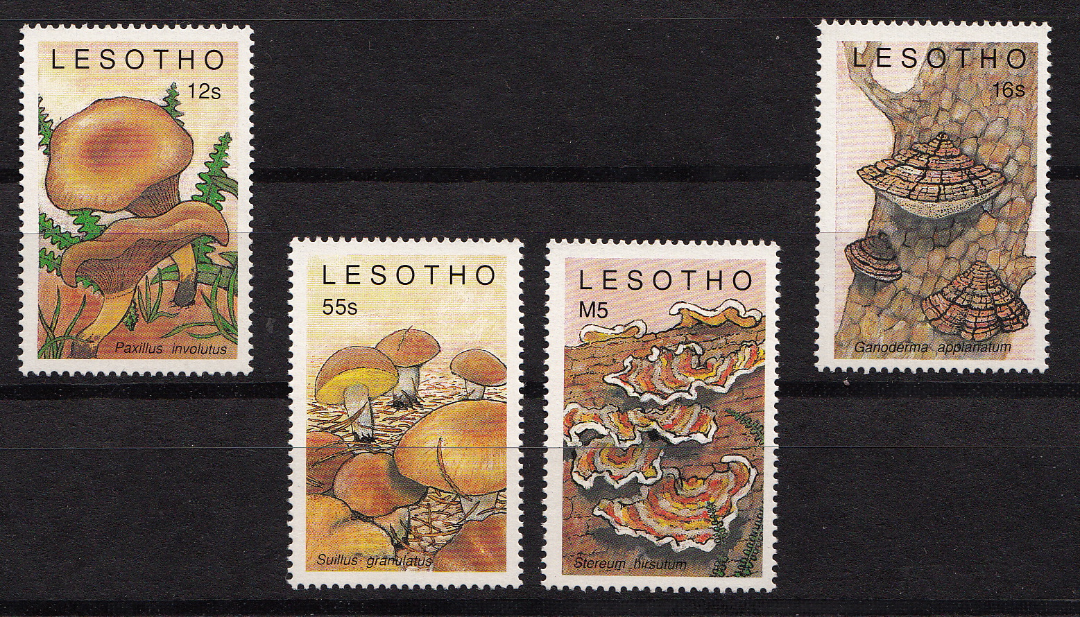 LESOTHO francobolli serie completa nuova Yvert e Tellier 852/5