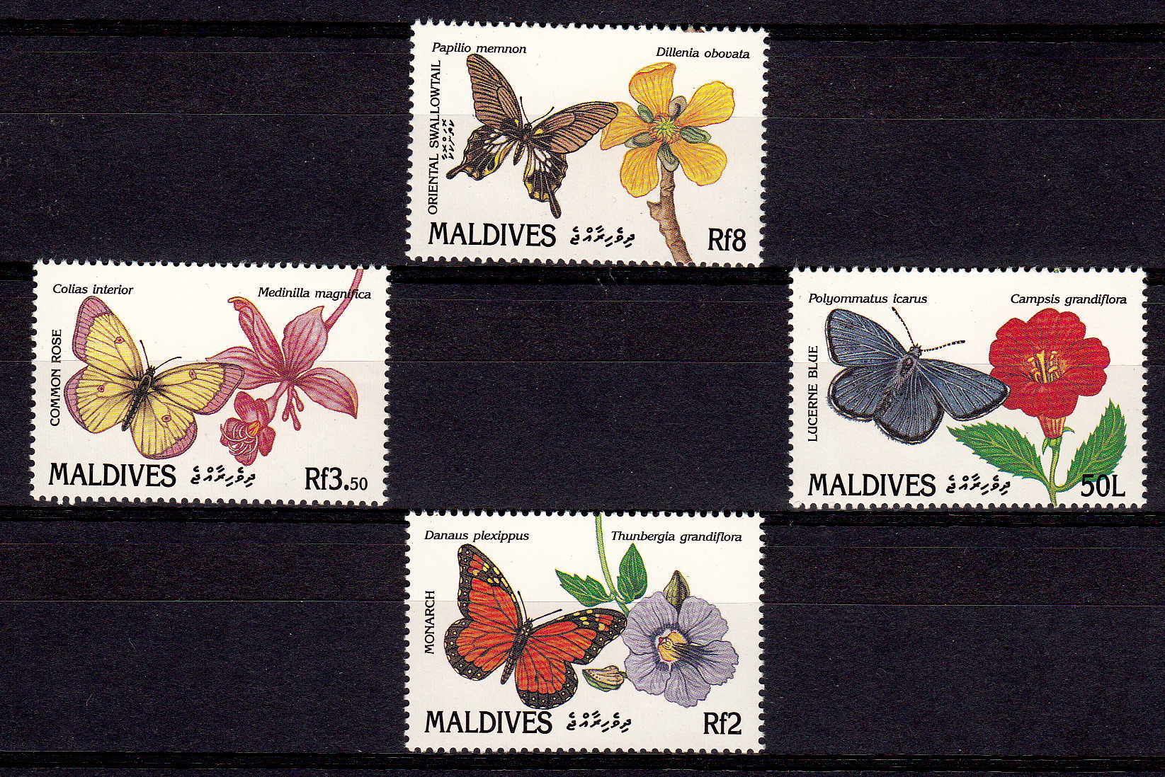 MALDIVE francobolli serie completa nuova Yvert e Tellier 1368/71