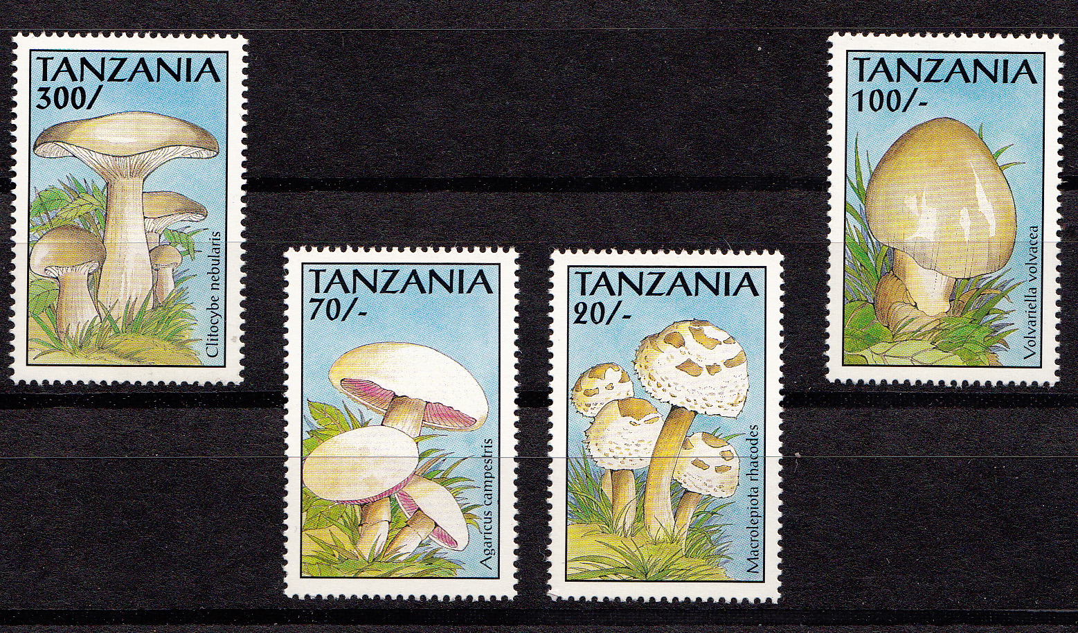 TANZANIA francobolli serie completa nuova Yvert e Tellier 1184/7