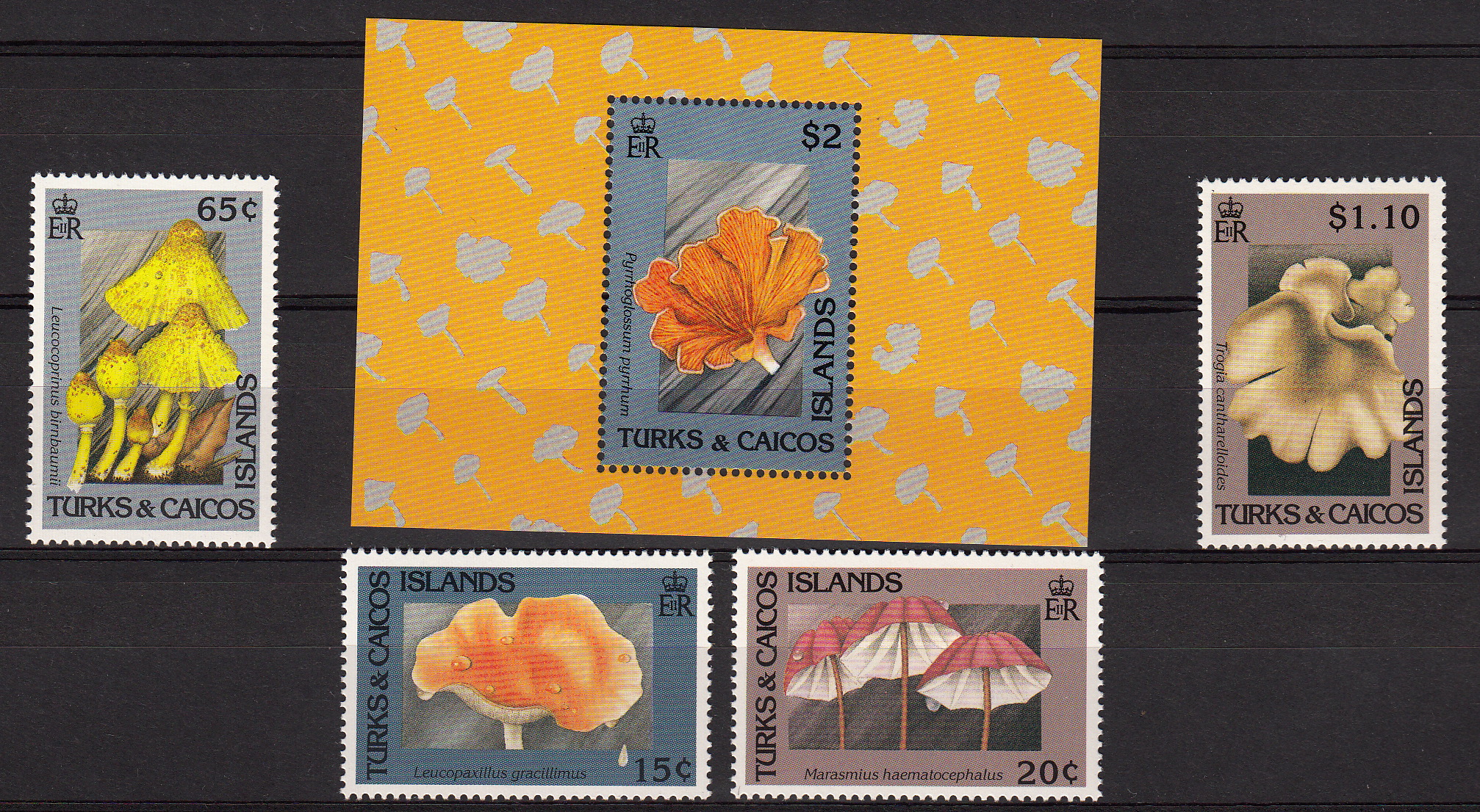 TURKS & CAICOS 1991  francobolli e foglietto serie completa nuova Yvert e Tellier 978/81 + Bf 114