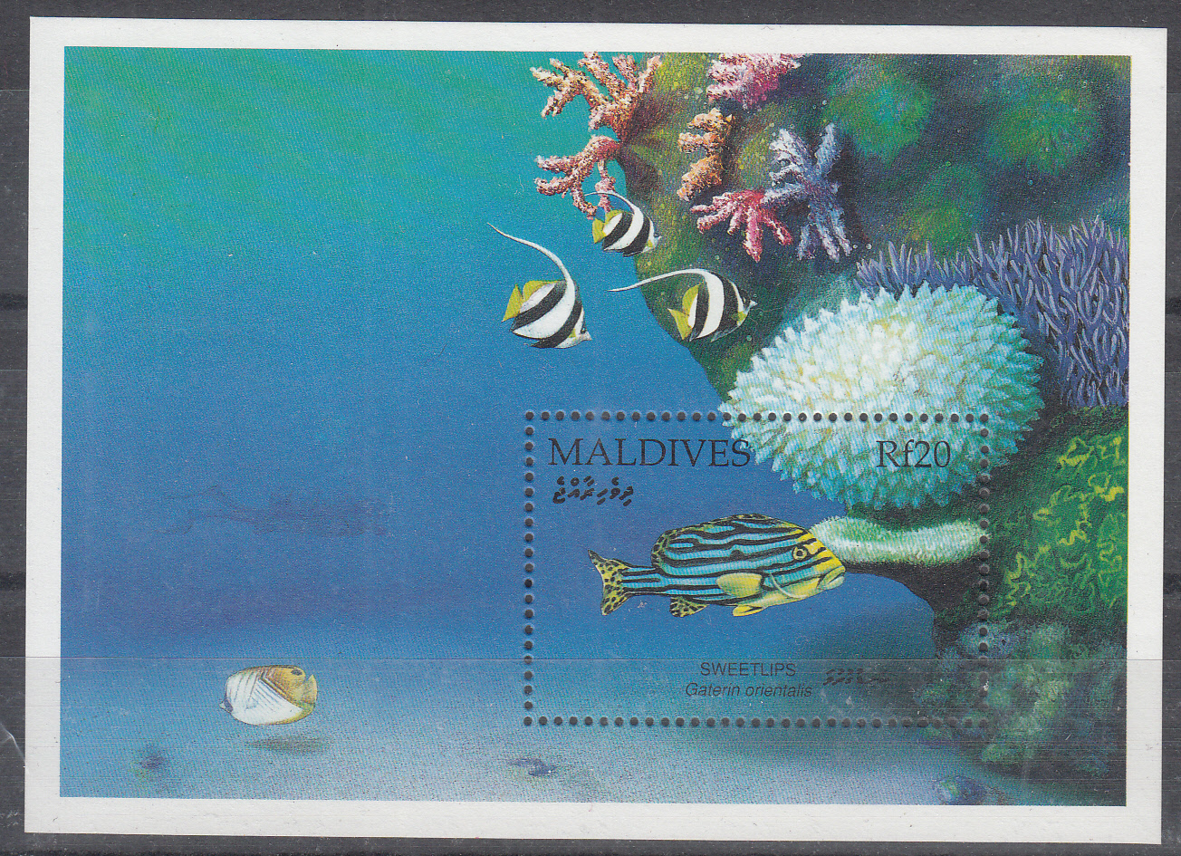 MALDIVE 2003  foglietto serie completa nuova Pesci Tropicali Yvert e Tellier BF 222