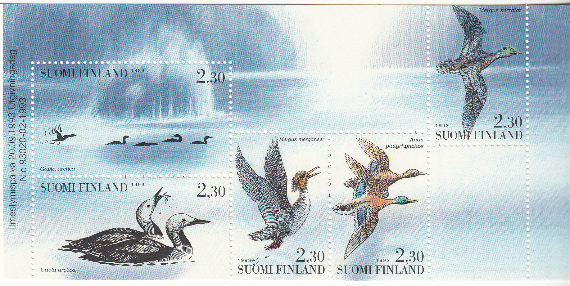 FINLANDIA 1993 foglietto uccelli acquatici nuovo Unificato L1189