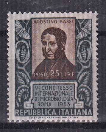 1953 6° Congresso Microbiologia Agostino Bassi Perfetto Non linguellato Sassone 726