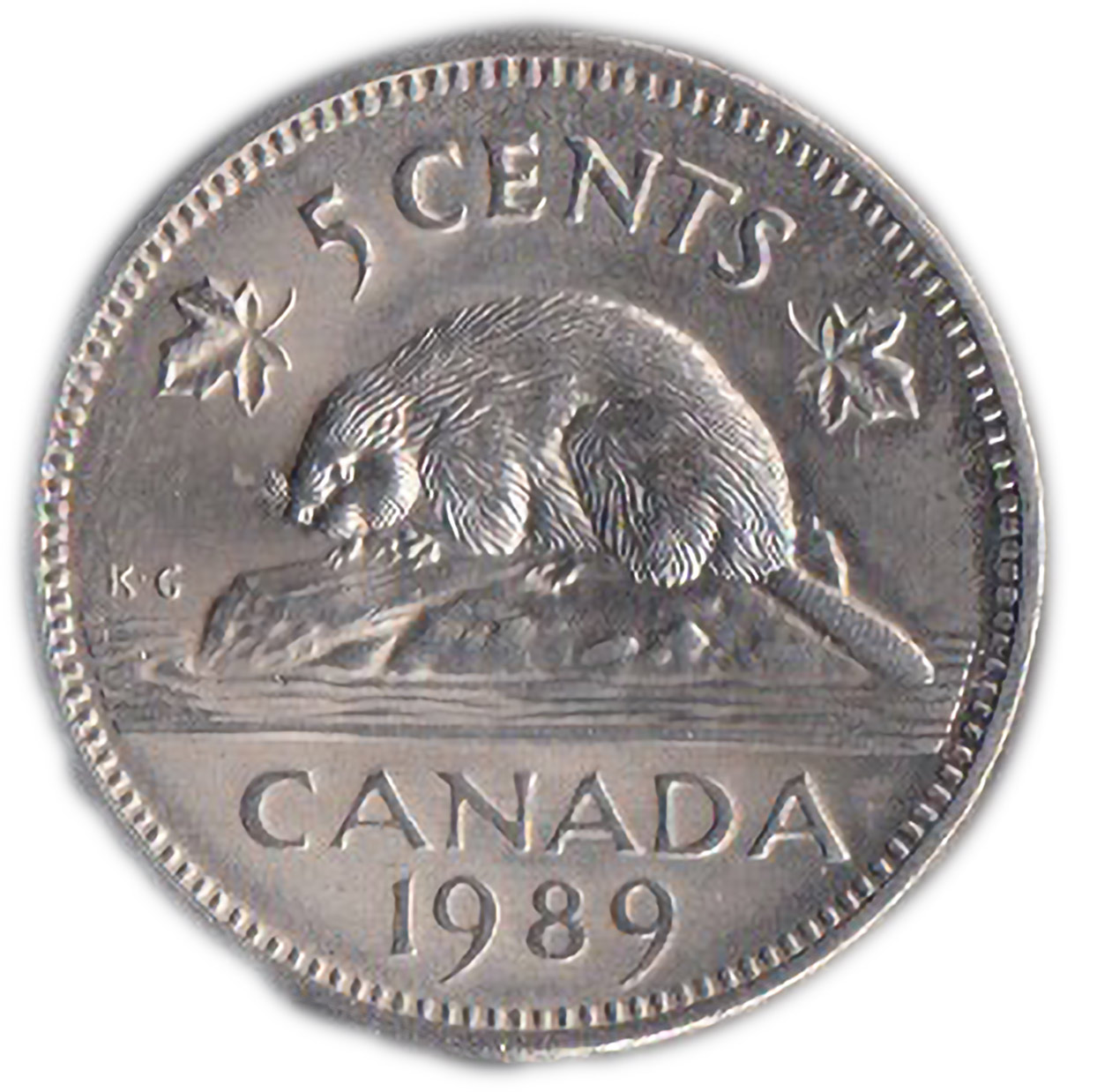 1989 - CANADA 5 cents Nickel Castoro Stupenda conservazione