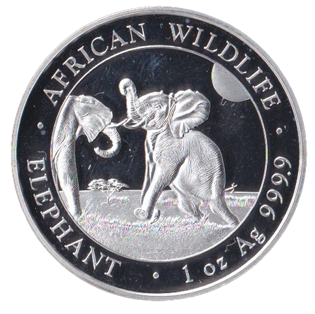 SOMALIA 100 Scellini 1 OZ 2024 Elefante Argento Fdc