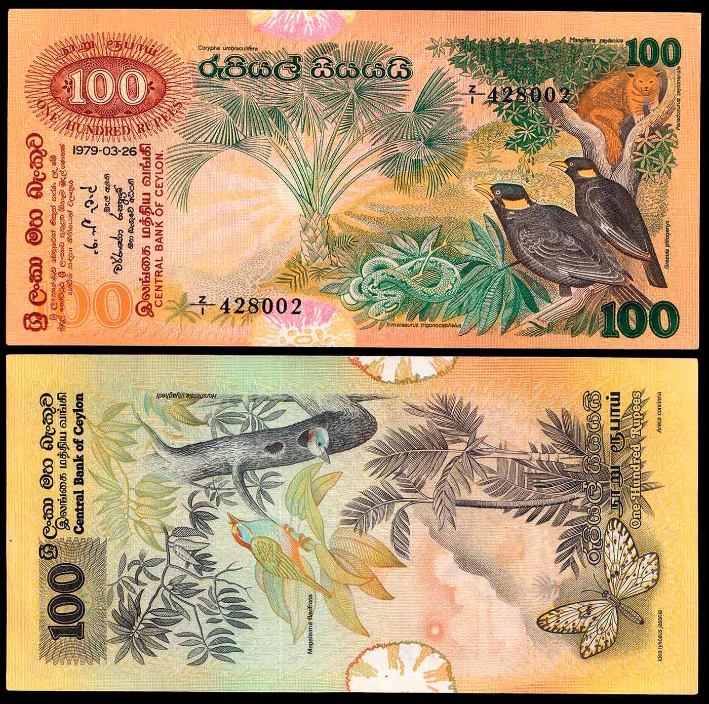 CEYLON (Sri Lanka) 100 Rupees 1979 Quasi Fior di stampa