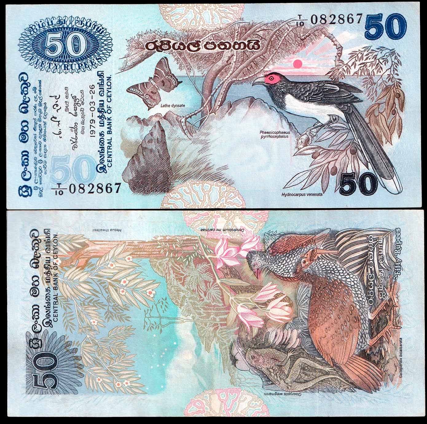 CEYLON 50 Rupees 1979 "Red-Faced Malcoha" Quasi Fior di Stampa