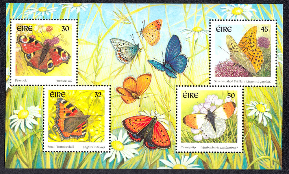 Irlanda serie Farfalle anno 2000 nuova Catalogo Unificato 1288/91