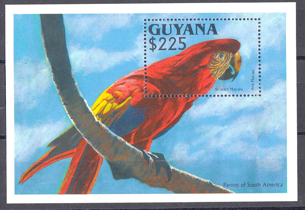 Guyana foglietto fine anni 90 pappagallo Nuovo Yvert Tellier BF 116