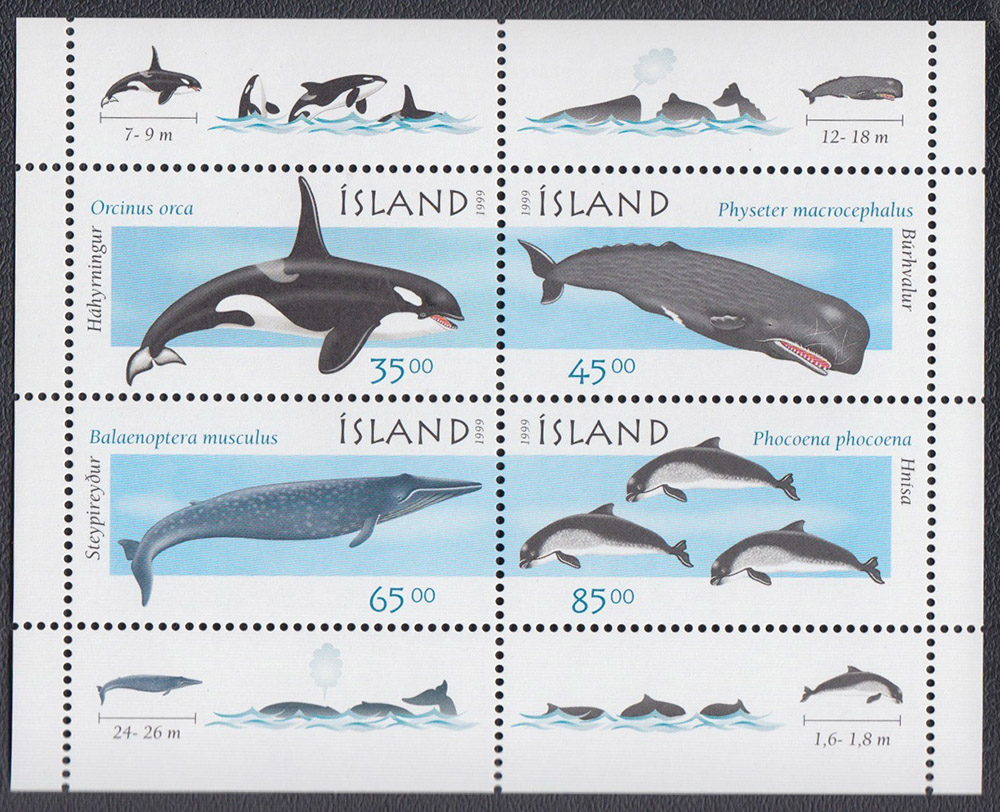 ISLANDA foglietto dedicato ai Cetacei 1999 Nuovo 4 valori