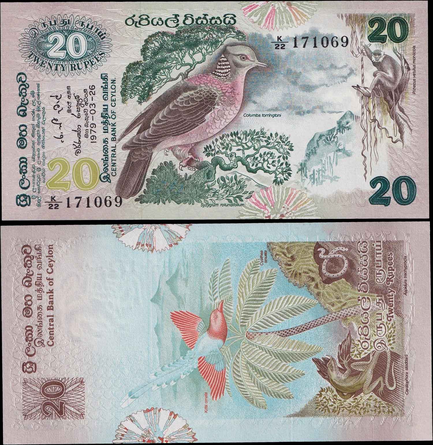 SRI LANKA 20 Rupees Wood Pigeon 1979 (p86a) Fds