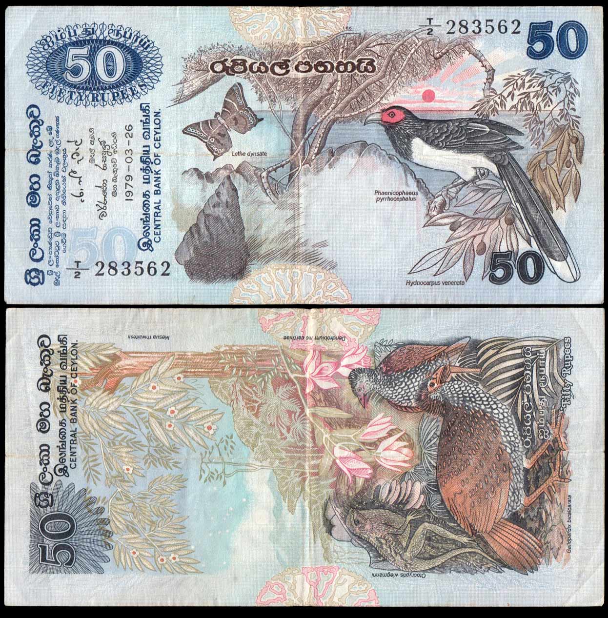 Sri Lanka 50 Rupees 1979 Red-Faced Malcoha BB+