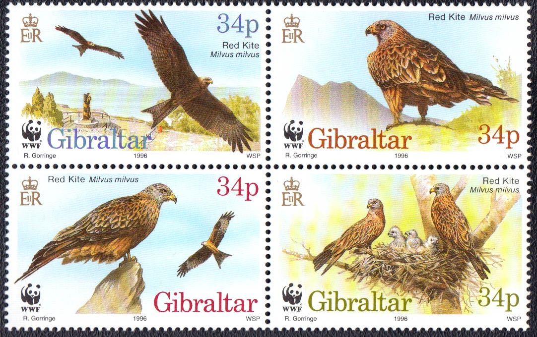 1996 - GIBILTERRA 4 valori WWF Fauna Nibbio 4 franobolli nuovi