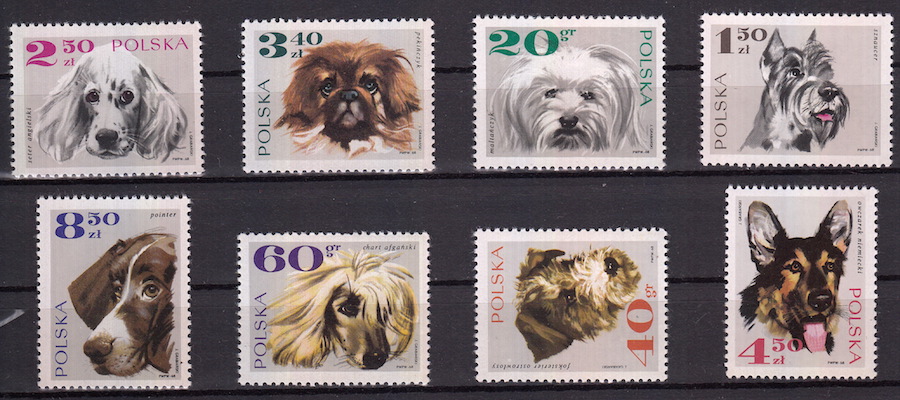 POLONIA 1969 francobolli tematica Fauna nuovi Cani Yvert Tellier 1748-55