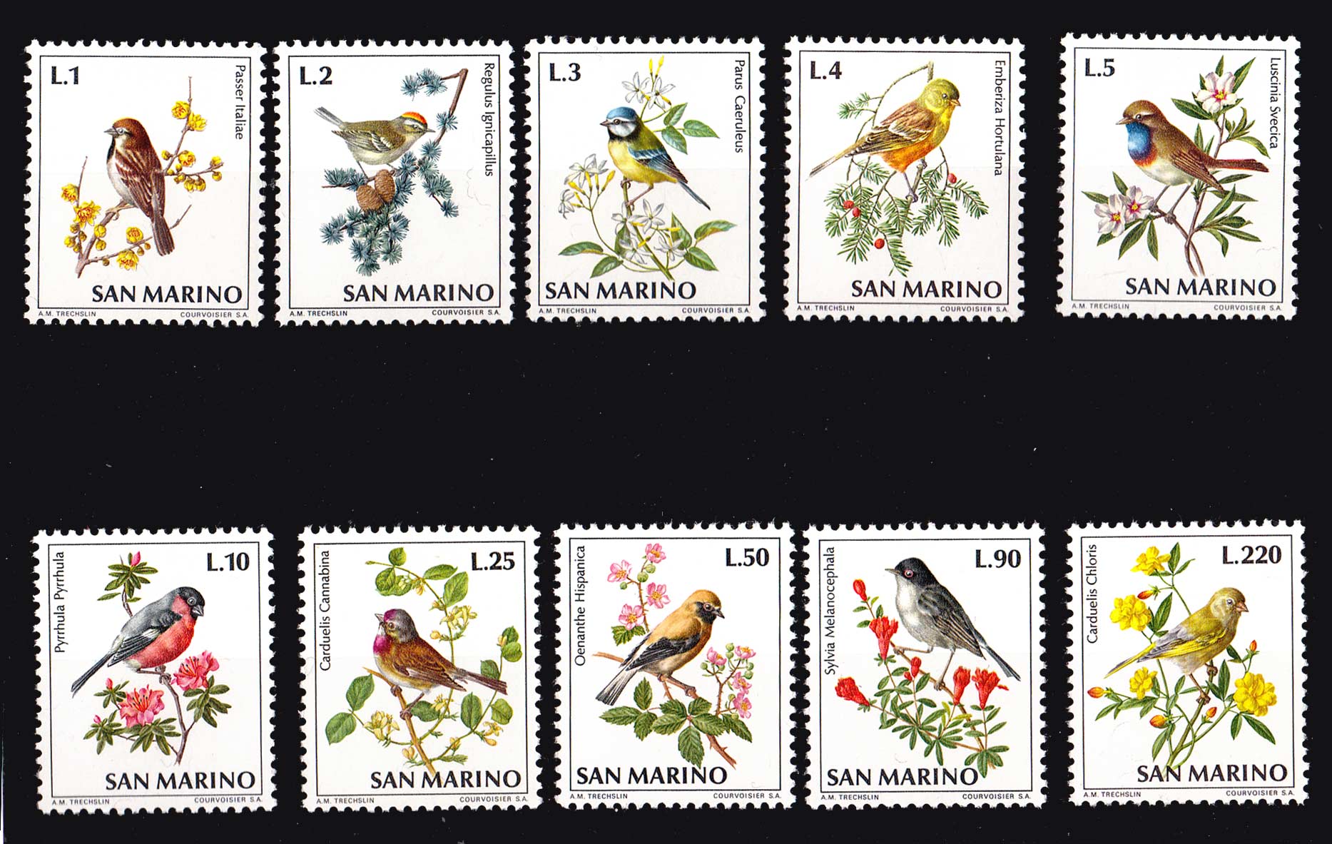 1972 San Marino Fauna Avicola 10 Val. tematica uccelli nuovi